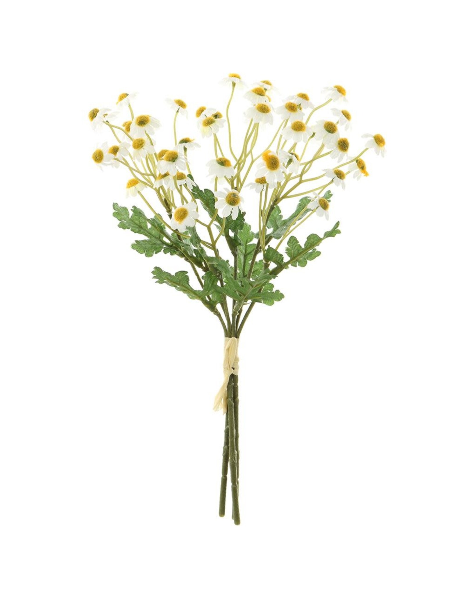 12" Mini Daisy Bundle FBD042-WH