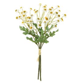 12" Mini Daisy Bundle FBD042-WH