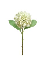 18.5" Hydrangea Spray FSH037-Gr