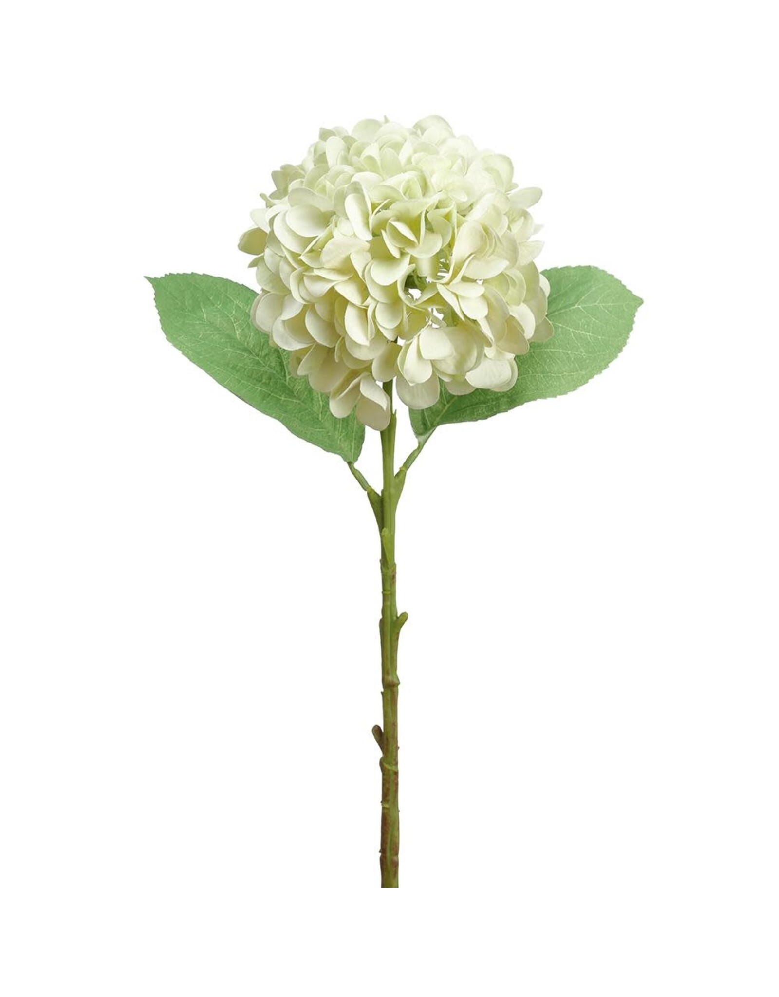 18.5" Hydrangea Spray FSH037-Gr