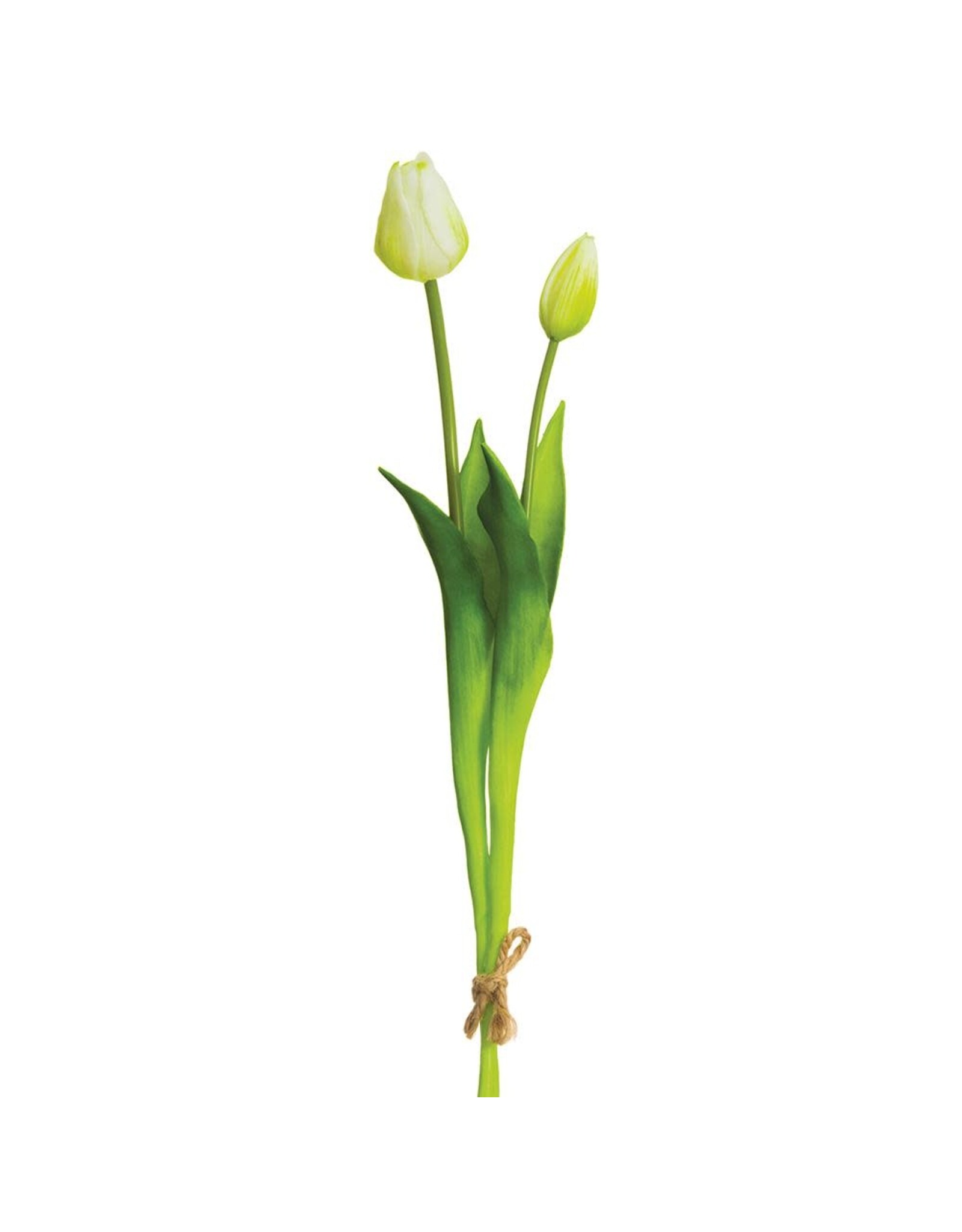 18.5" Tulip Bundle x2  FST427-wh