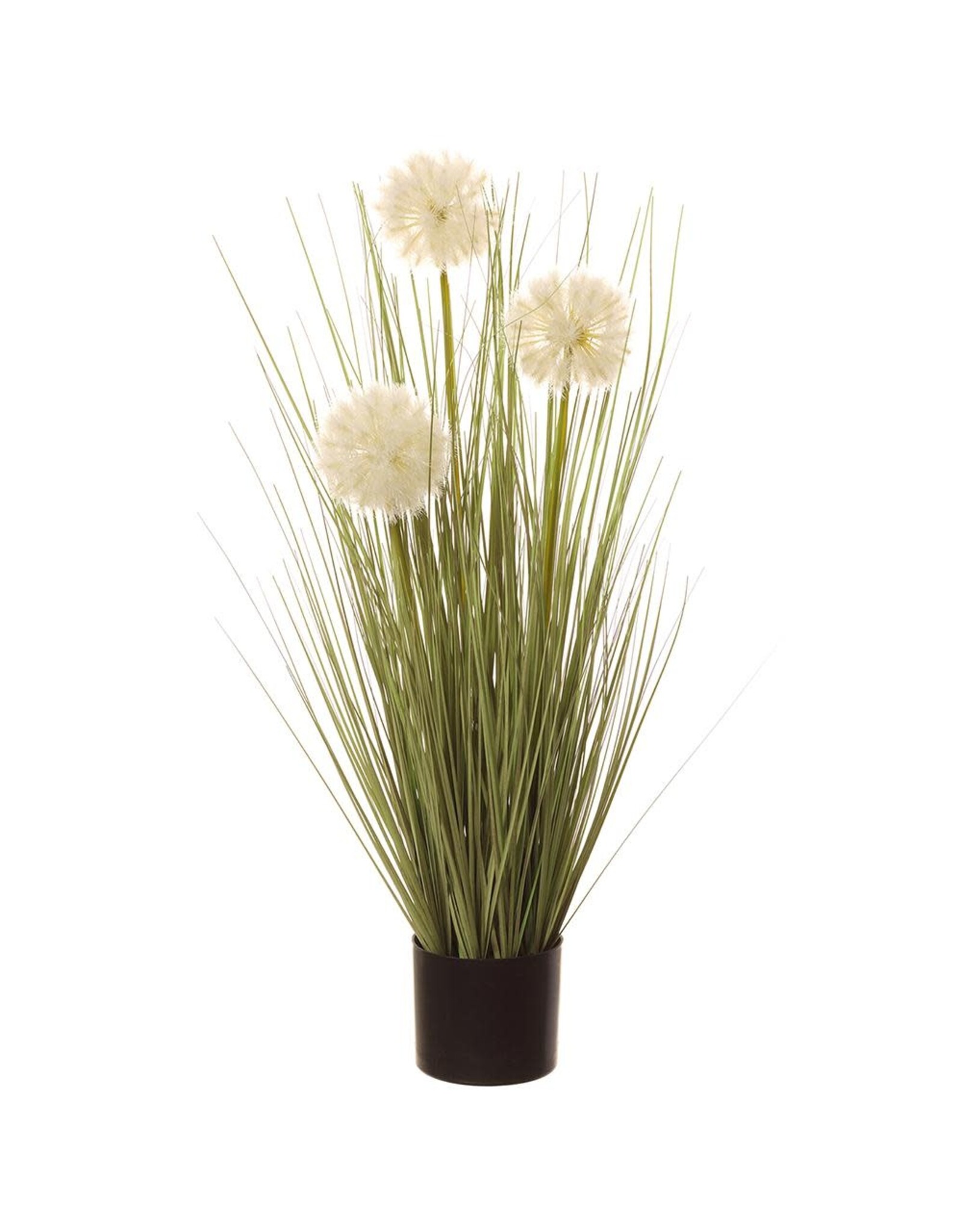 24" Dandelion Grass in Plastic Pot LQG506-WH-GR