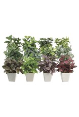 7.5 Greenery in Ceramic Pot 12 styles LQX068-Asst