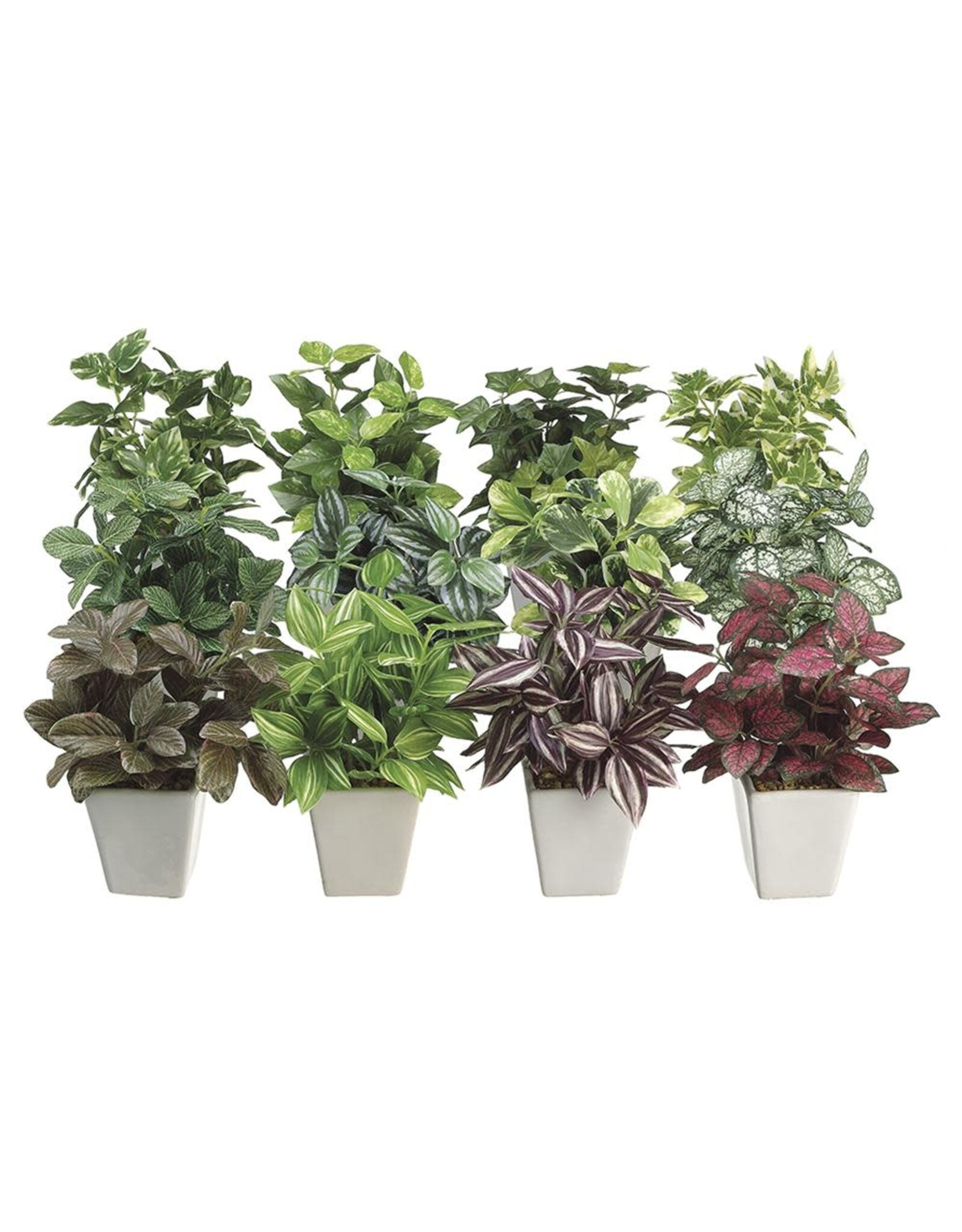 7.5 Greenery in Ceramic Pot 12 styles LQX068-Asst