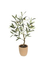 26" Olive Tree in Cement Pot LTO138-GR