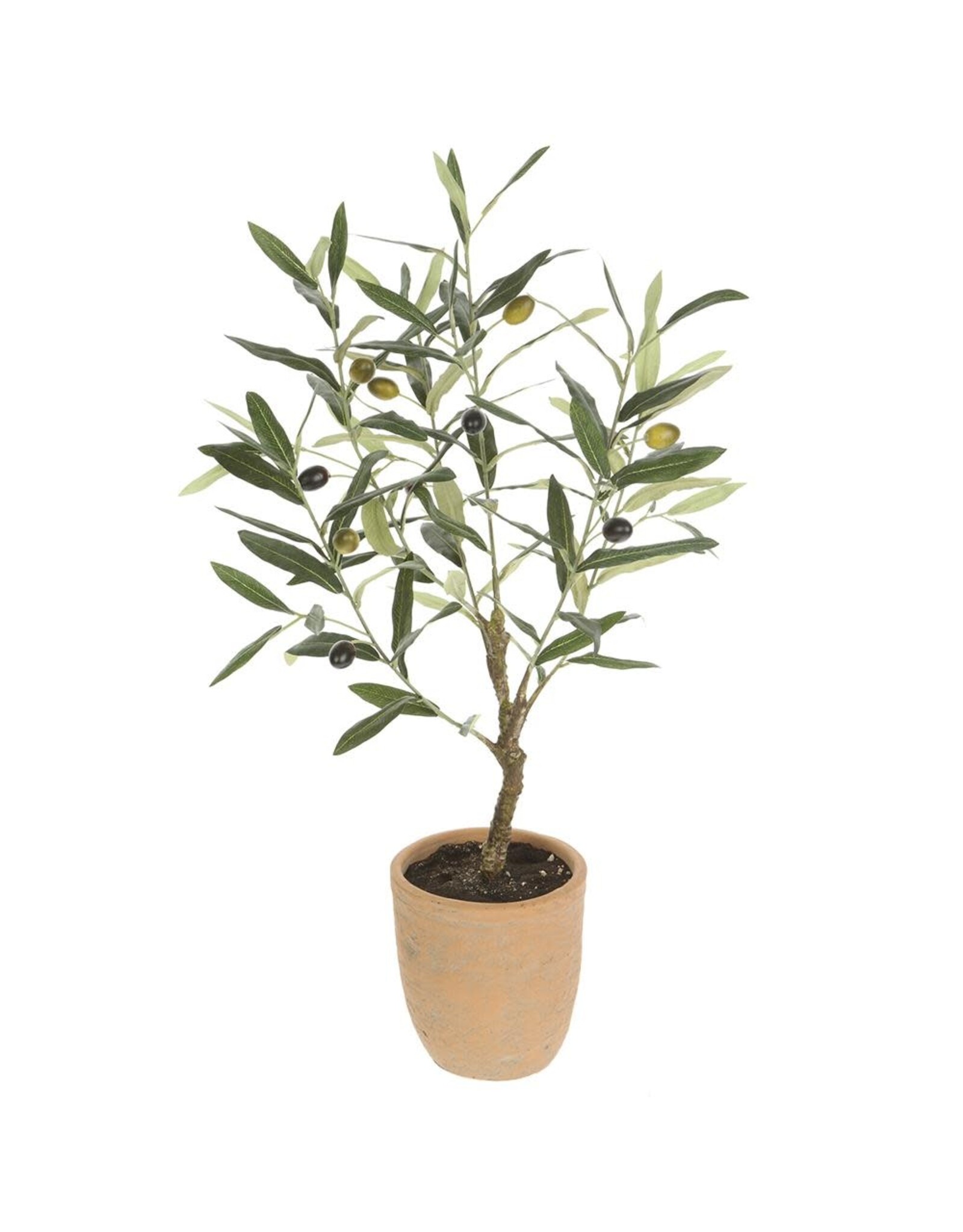 26" Olive Tree in Cement Pot LTO138-GR