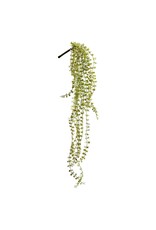 28.5 Button Leaf hanging Bush PBB232