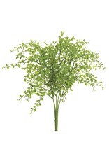 13" Soft Button Fern PBF328GR