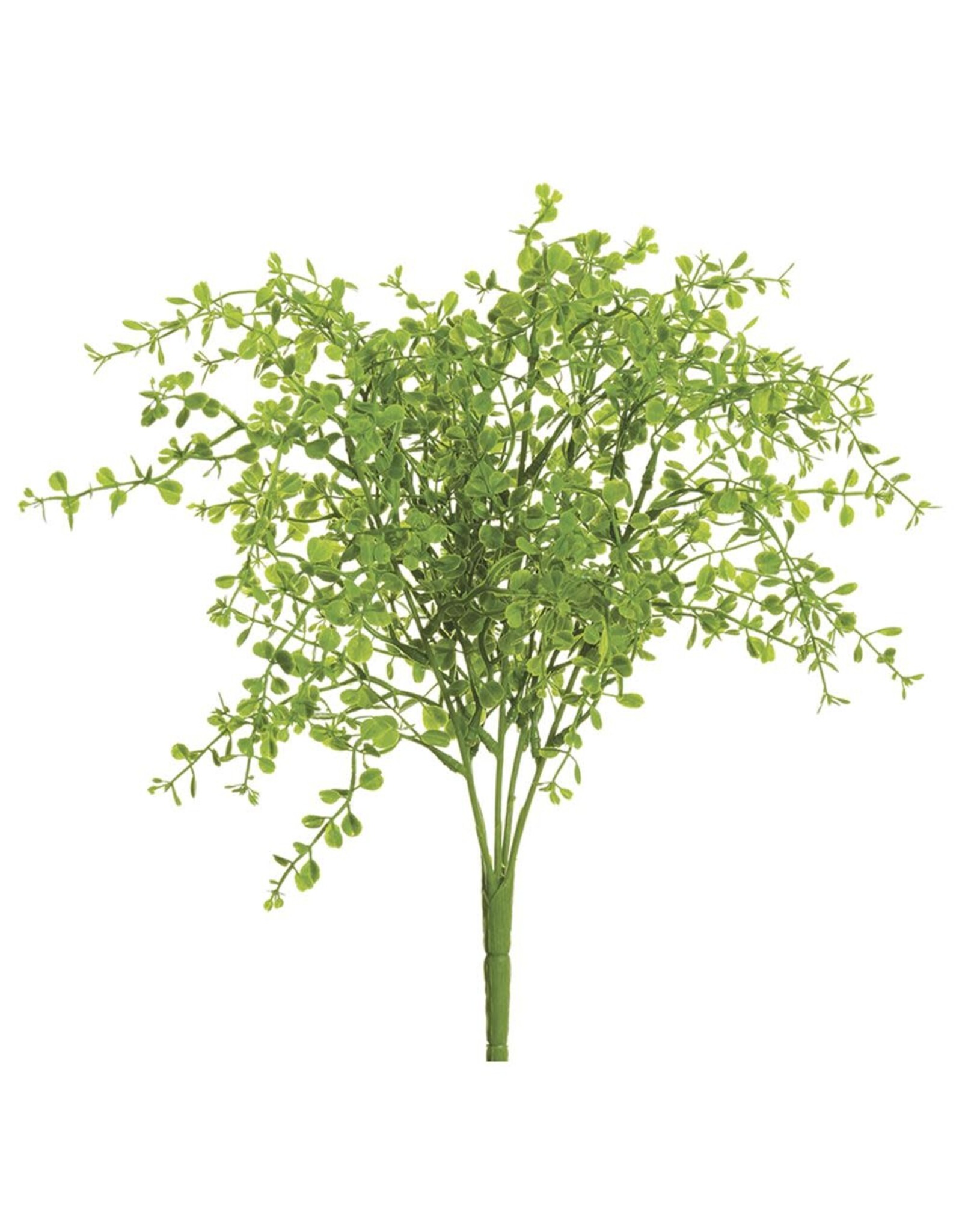 13" Soft Button Fern PBF328GR