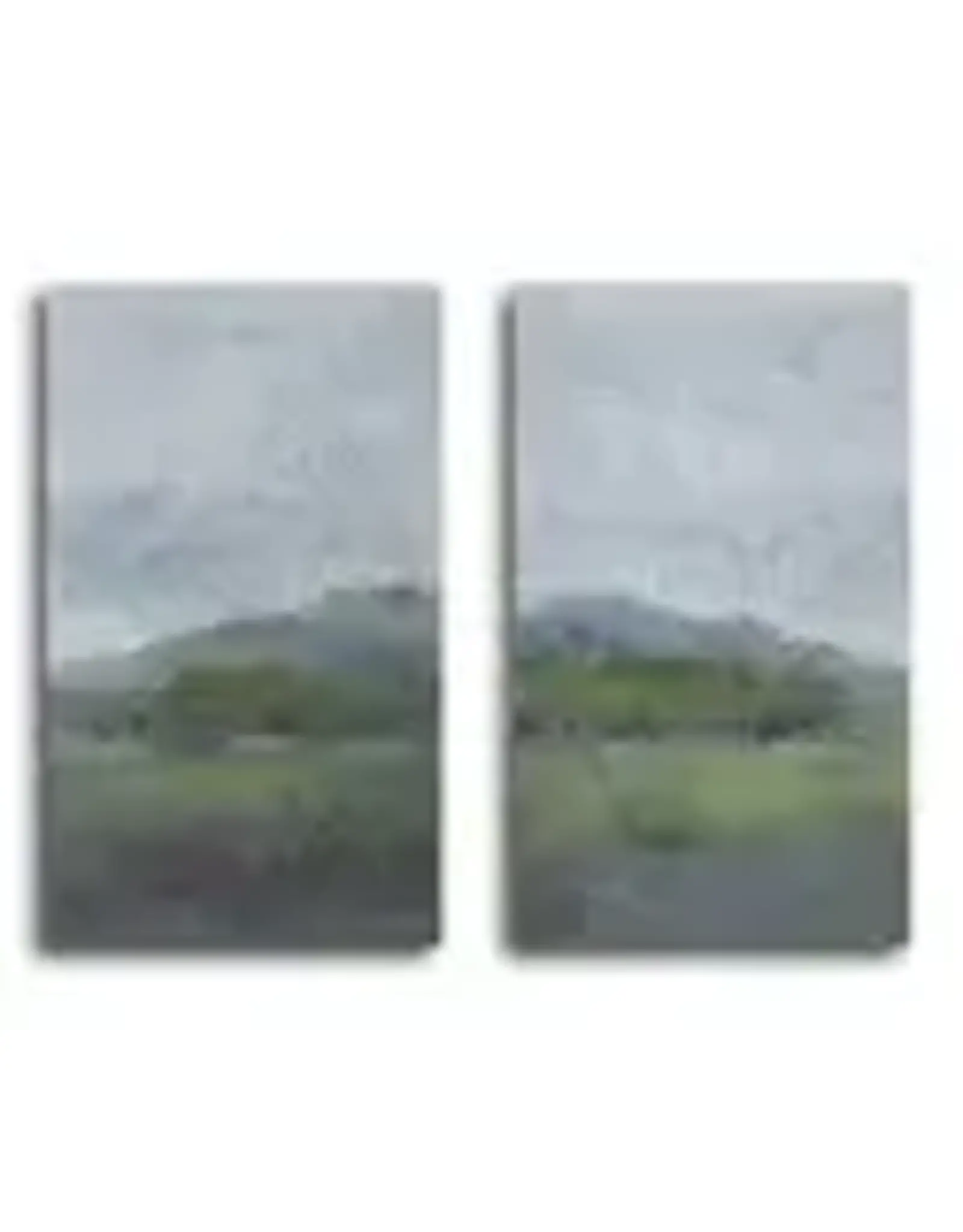 Encantamar Art  24" x 20" 2 styles, each 257100