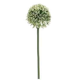 17.5 Allium Spray FSA141