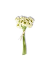 11 Inch Cream Mini Ranunculus Bundle (7 Stems) 13238B
