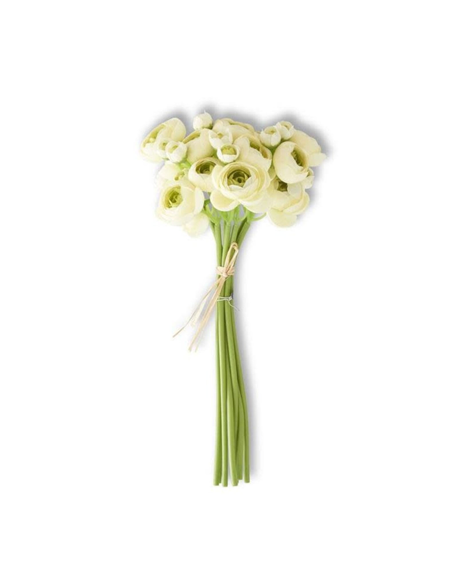 11 Inch Cream Mini Ranunculus Bundle (7 Stems) 13238B