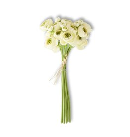 11 Inch Cream Mini Ranunculus Bundle (7 Stems) 13238B