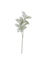 20 Inch Lambs Ear Stem 13420B