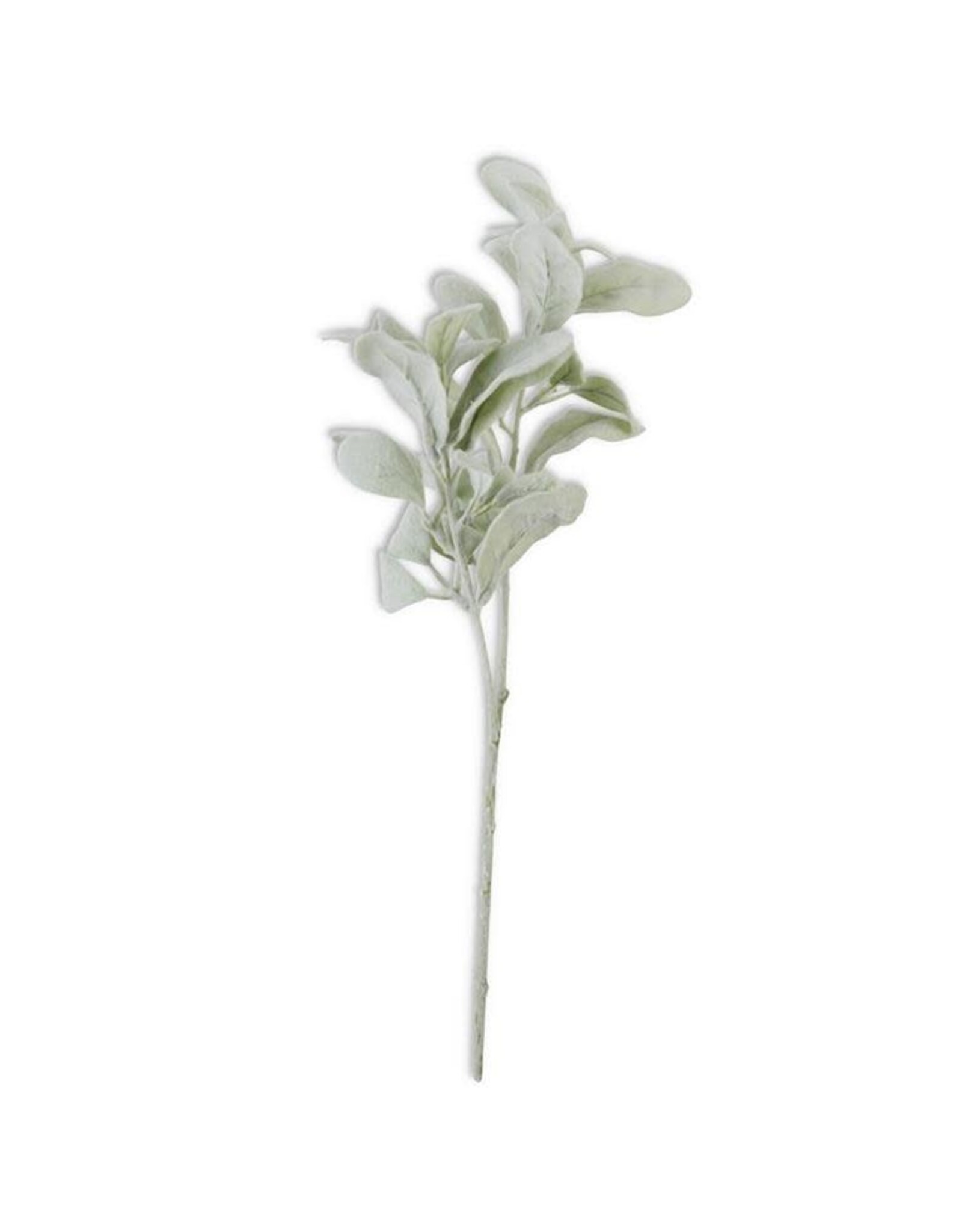 20 Inch Lambs Ear Stem 13420B