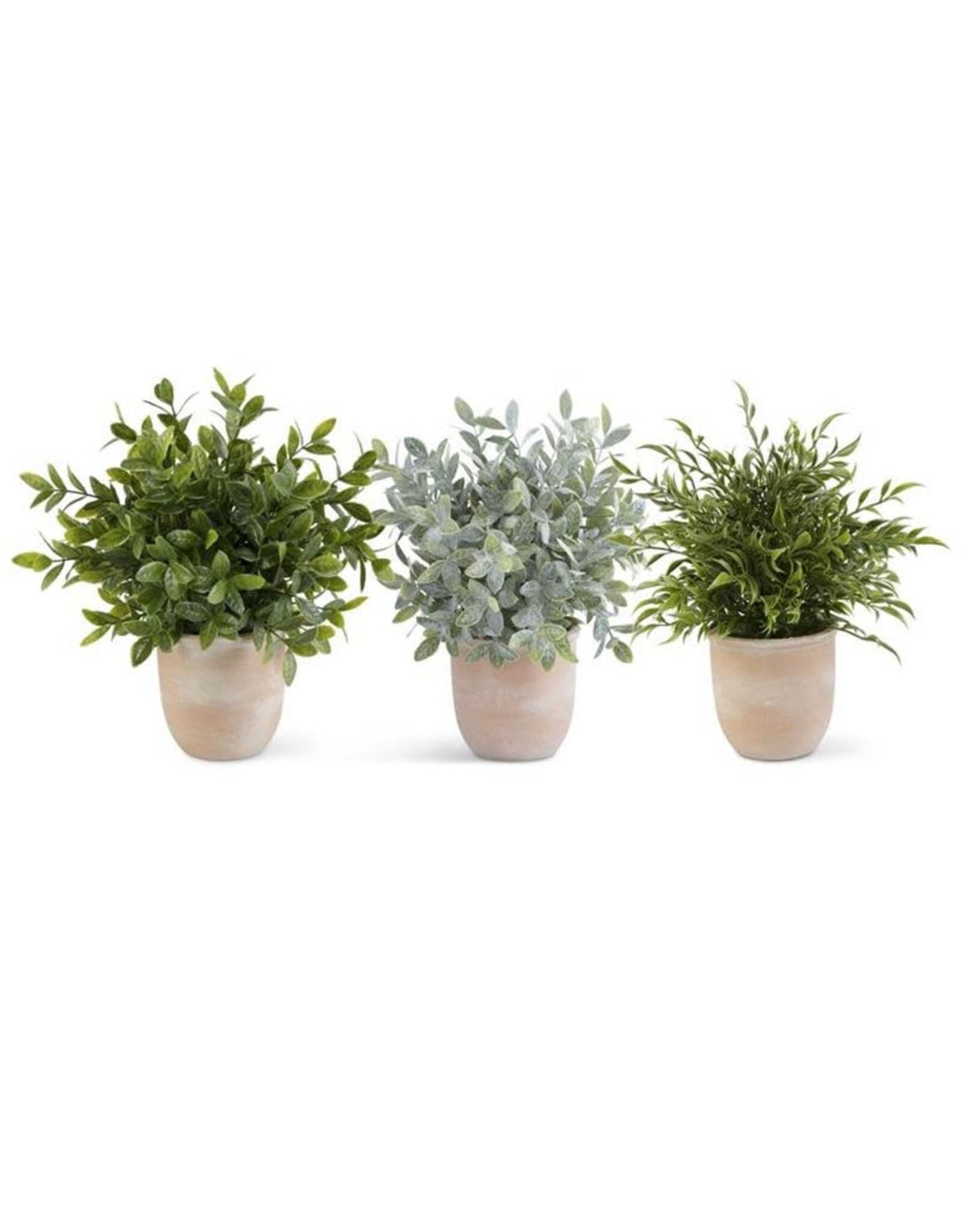 Assorted 13 Inch Herb in Terracotta Pot (3 Styles) Each 16315B
