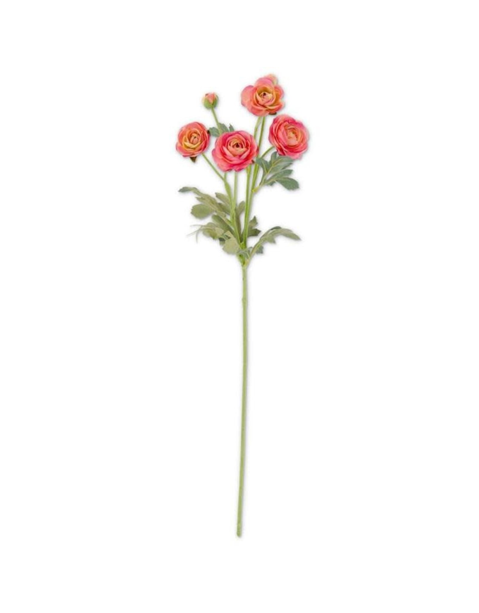 26 InchPink Ranunculus Spray  17259A-PK