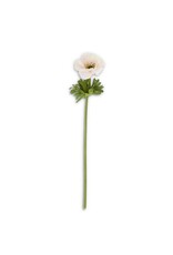20.5 Inch Pink  Buttercup Wildflower 17803A-PKLT