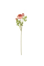 21 Inch Coral  3 Head Ranunculus Stem 17805A-PKDK
