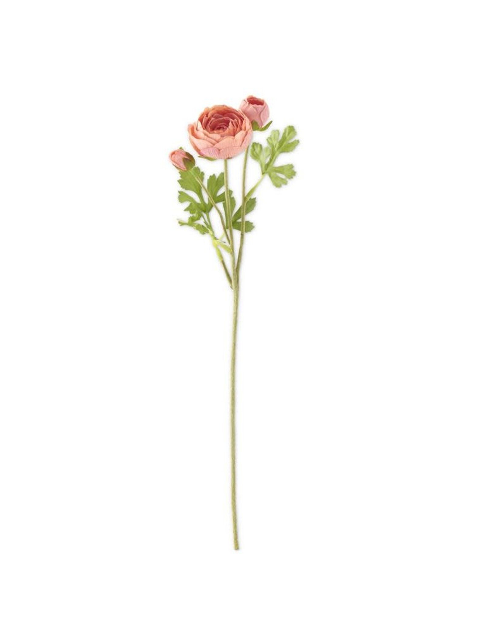 21 Inch Coral  3 Head Ranunculus Stem 17805A-PKDK