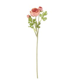 21 Inch Coral  3 Head Ranunculus Stem 17805A-PKDK