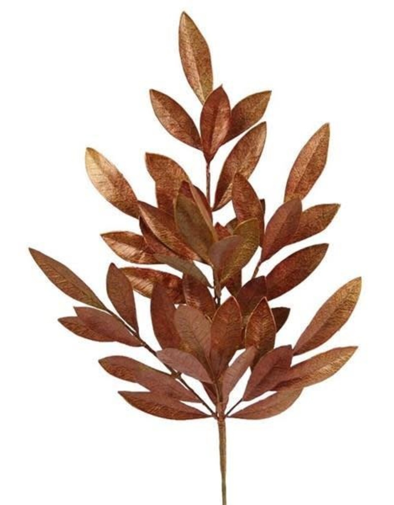 23.5"L BAY LEAF SPRAY