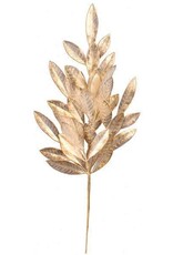 23.5" BAY LEAF SPRAY