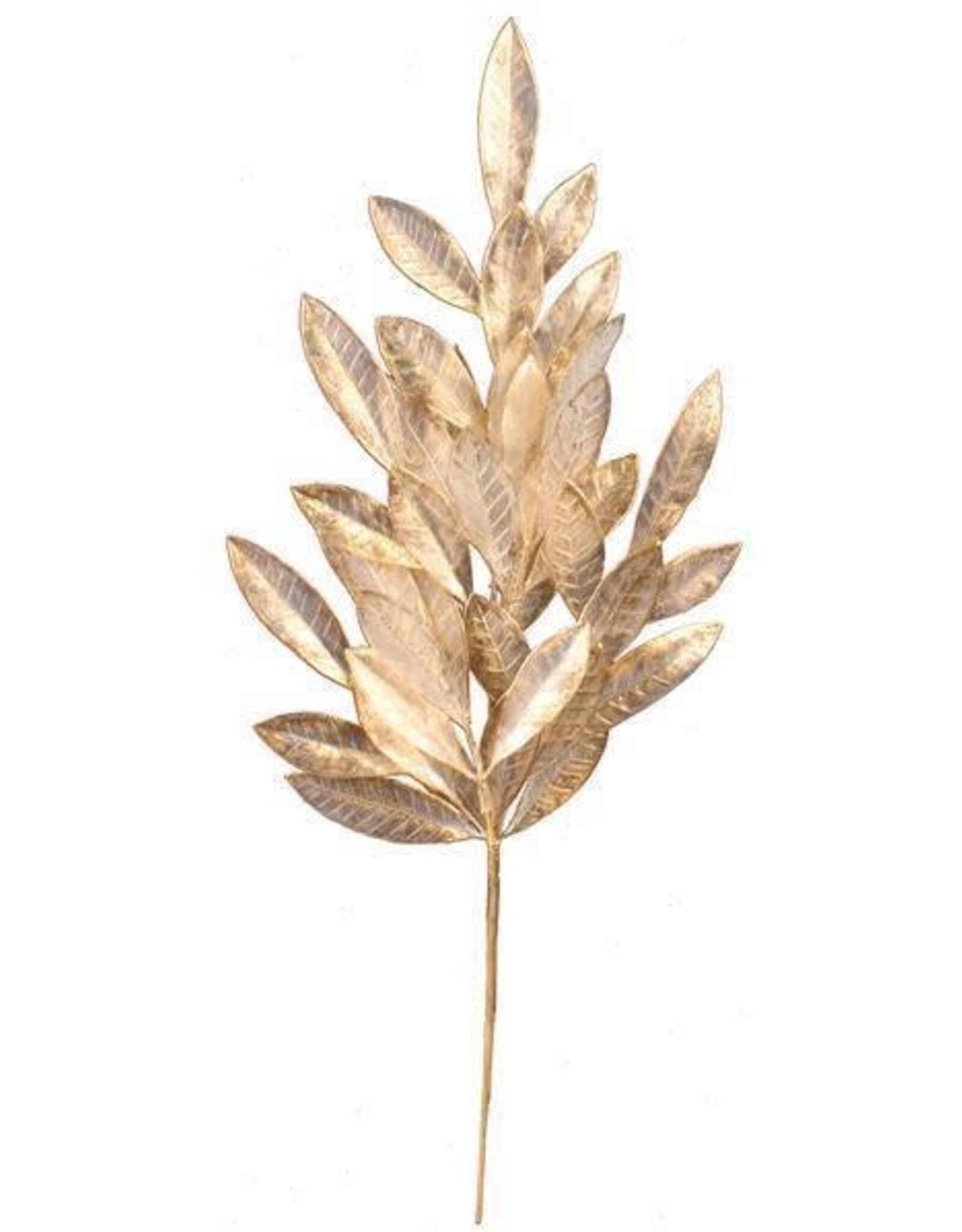 23.5" BAY LEAF SPRAY