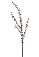 28"L HUCKLEBERRY SPRAY