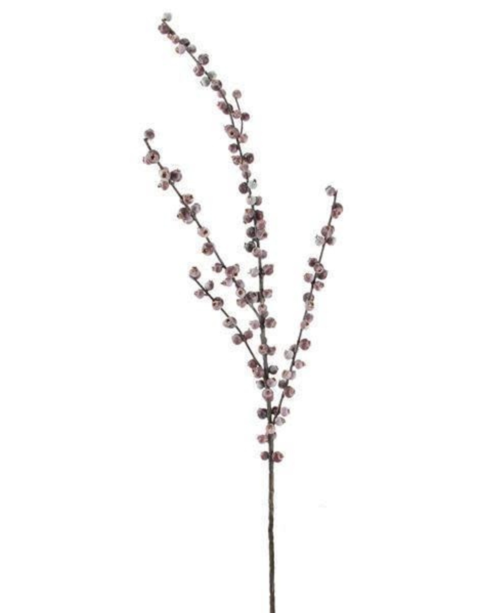 28"L HUCKLEBERRY SPRAY