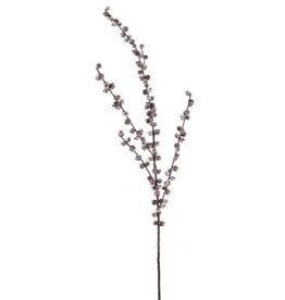 28"L HUCKLEBERRY SPRAY