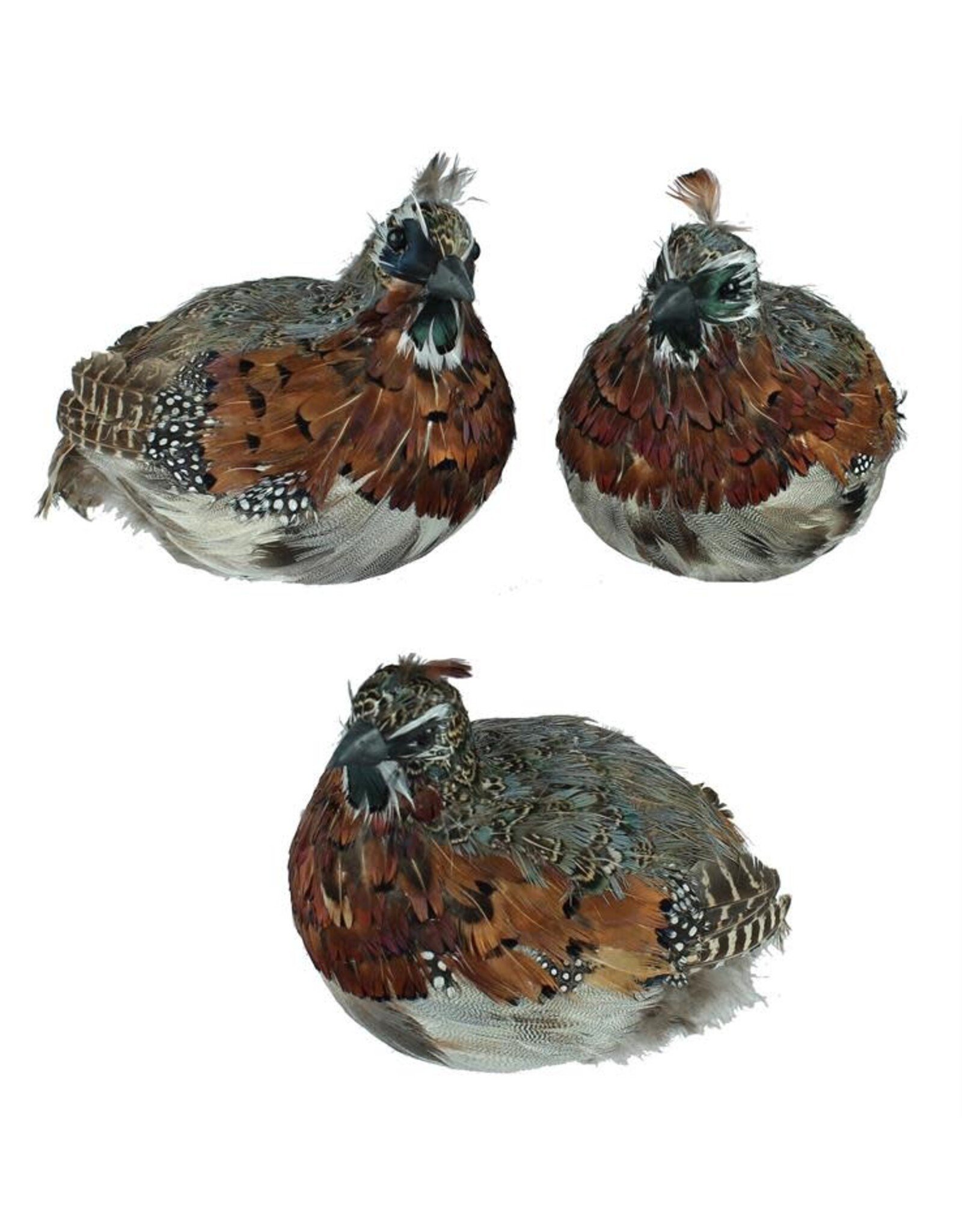 3 ASSORTED 8.5"L FEATHER QUAIL EACH