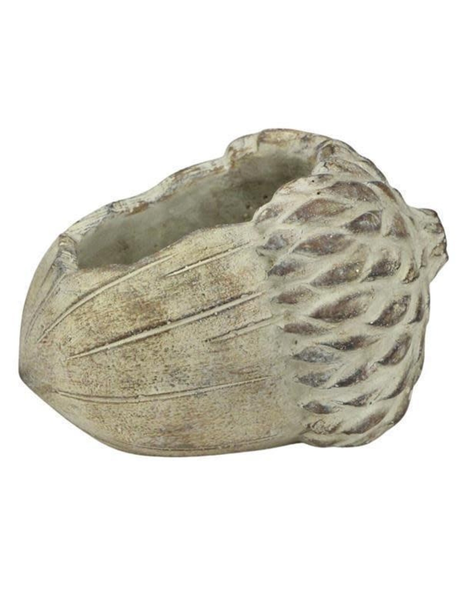 7.5"L X 5"H CEMENT ACORN PLANTER
