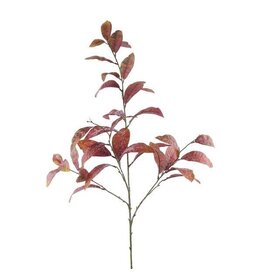 40"L  LEAF SPRAY