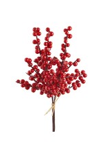 12" Berry Bundle x3  Red Two Tone XBB784-RE/TT