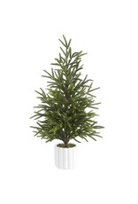 27"CYPRESS TREE IN CEMENT POT