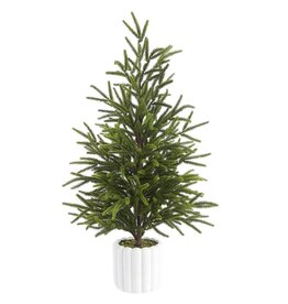 27"CYPRESS TREE IN CEMENT POT