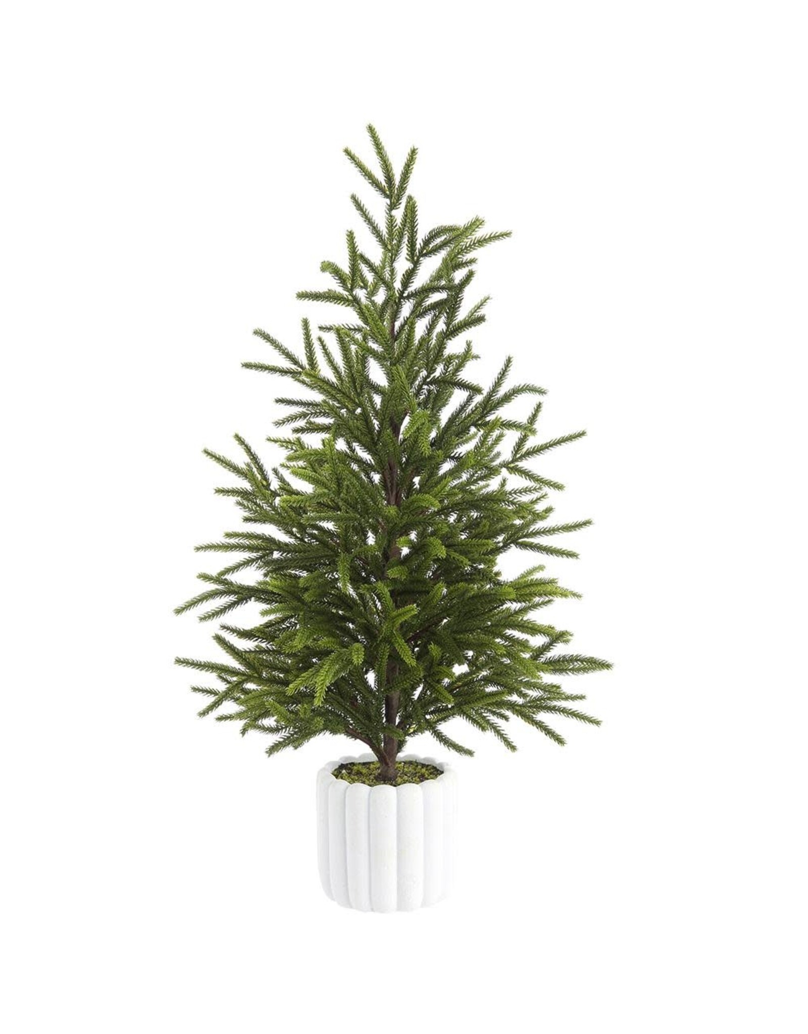 27"CYPRESS TREE IN CEMENT POT