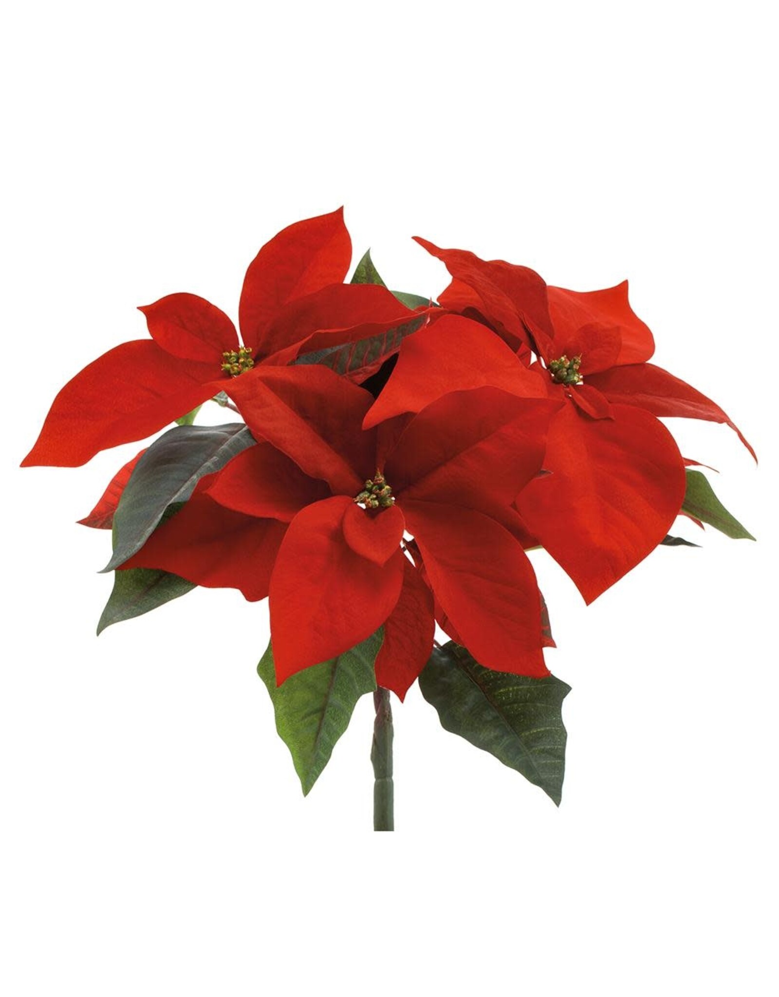 14" Poinsettia Bush x3 blooms XPB151-RE