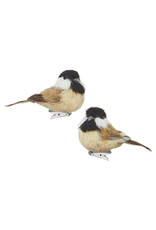Clip on Bird Ornament 2 styles, each  4153308