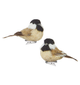 Clip on Bird Ornament 2 styles, each  4153308