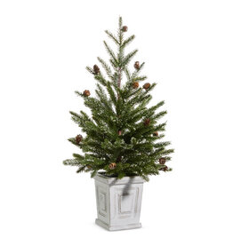 26" Pine Tree in White Container 4424624