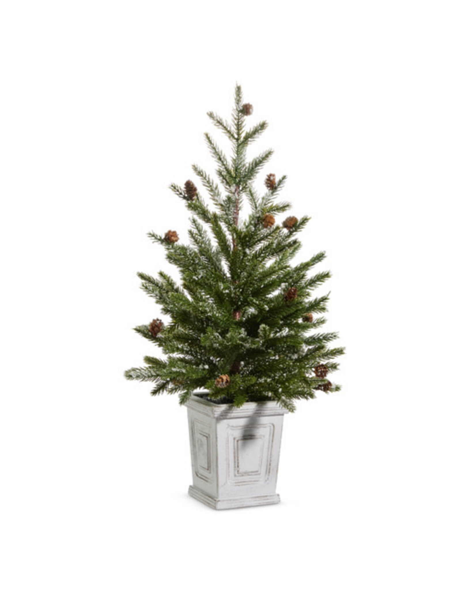 26" Pine Tree in White Container 4424624