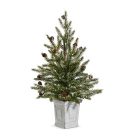 22" Pine Tree in White Container 4424625