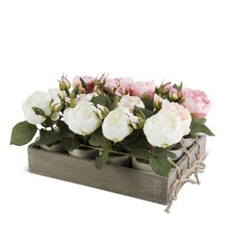 Assorted Roses in Pot 16407a