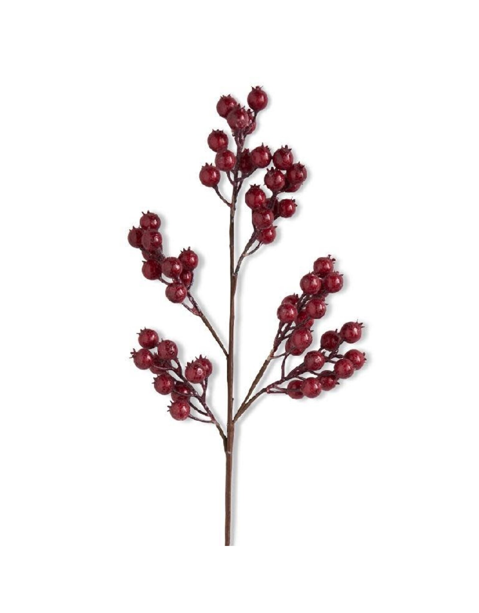 27" Red Crackle Glitter Rosehip Stem   51108A-RD