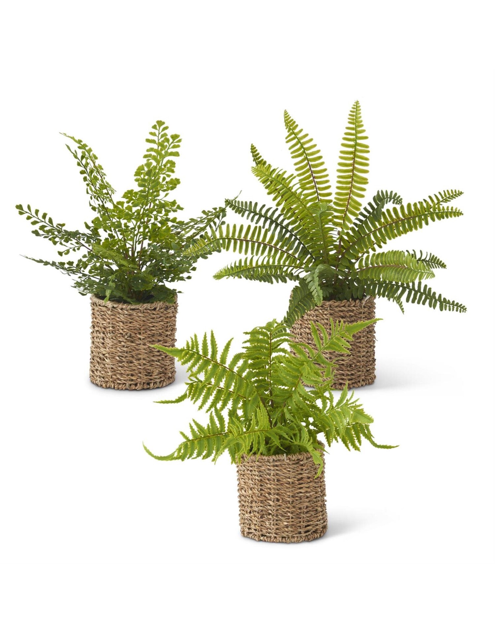 Fern in Woven Basket 3 syles each 18028A