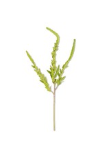 37 Inch Green Amaranthus Stem 15024A