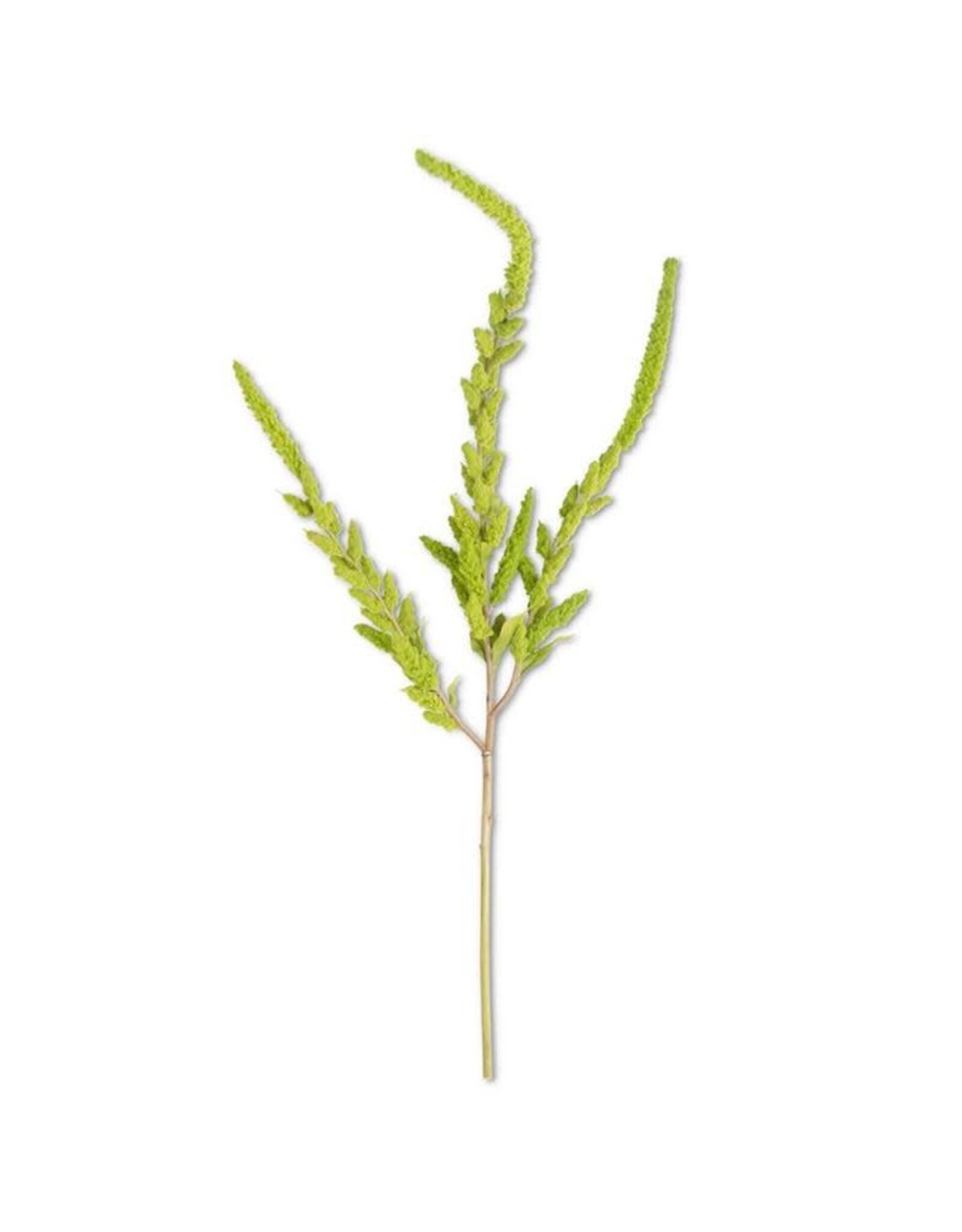 37 Inch Green Amaranthus Stem 15024A